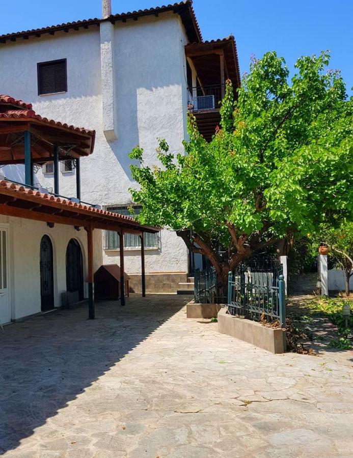 Ancient Olympia Luxury Pool Villa Palace 4Bedroom Zewnętrze zdjęcie