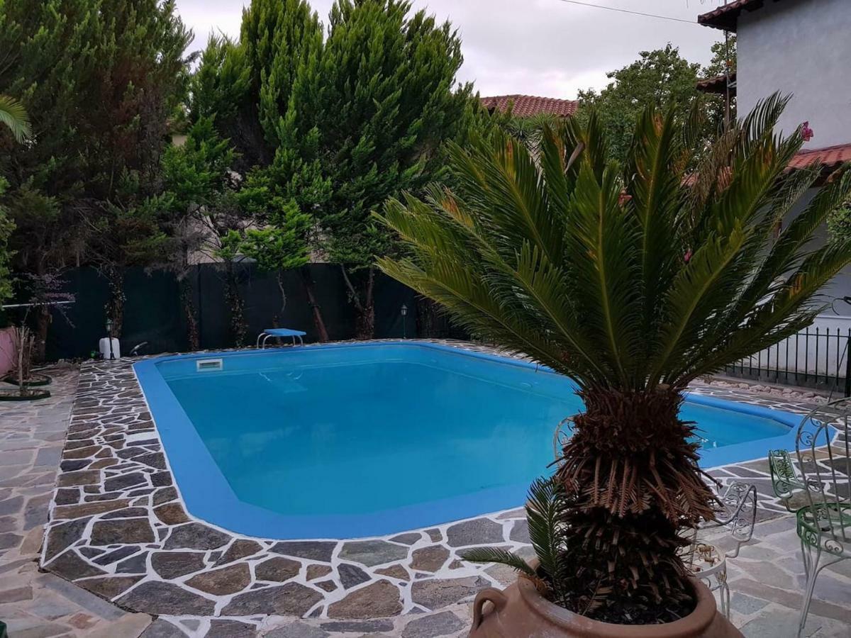Ancient Olympia Luxury Pool Villa Palace 4Bedroom Zewnętrze zdjęcie